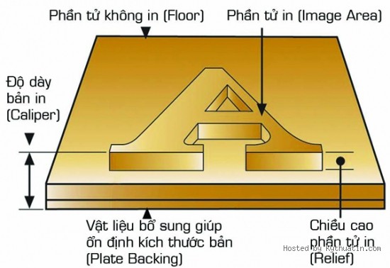 cong ty in, in an, c&ocirc;ng ty in, in ấn